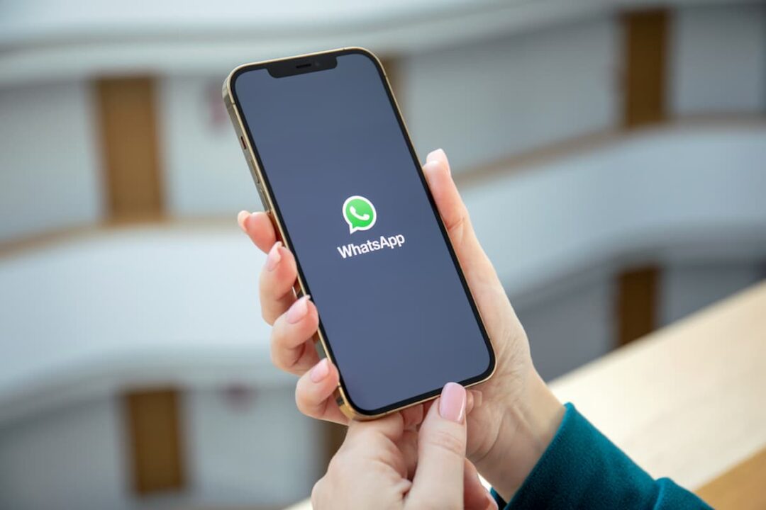 mão segurando celular com logo do WhatsApp